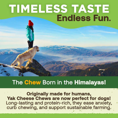 The Original Himalayan Yak Chew for Small Dogs – 100% Natural, Long-Lasting