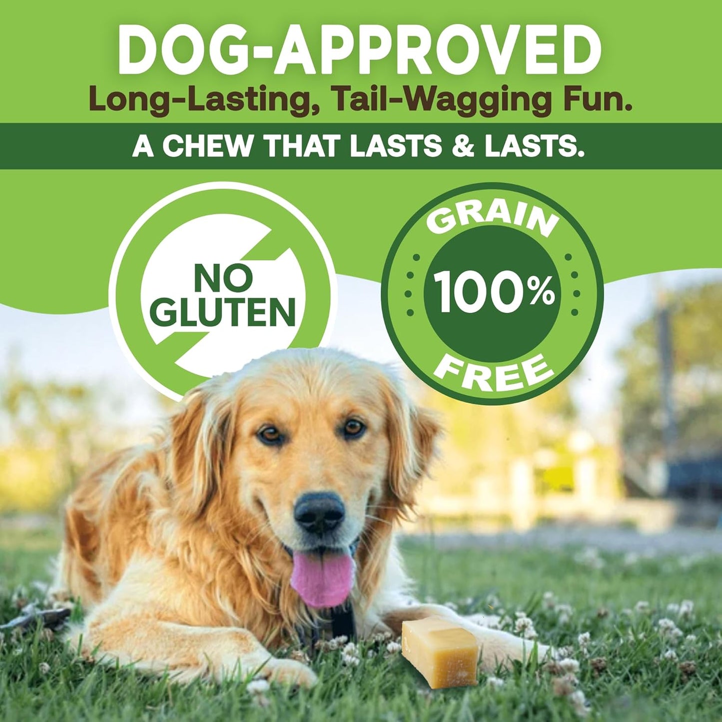 The Original Himalayan Yak Chew for Large Dogs – 100% Natural, Long-Lasting